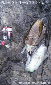 �����ꥤ��