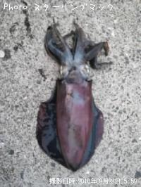 ¥¢¥ª¥ê¥¤¥«