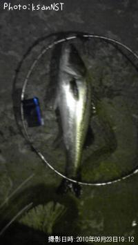 �����Х�