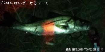 �����Х�