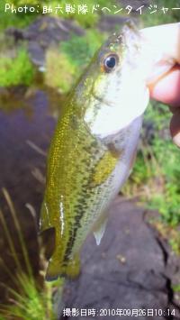 ¥Ö¥é¥Ã¥¯¥Ð¥¹