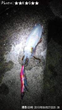 �����ꥤ��