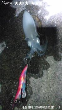 �����ꥤ��