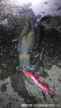 �����ꥤ��