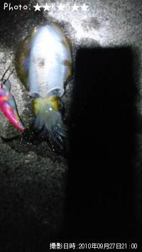 �����ꥤ��