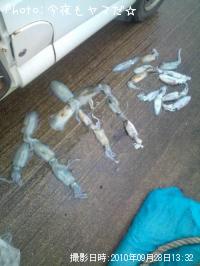 �����ꥤ��