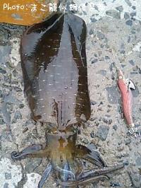 �����ꥤ��