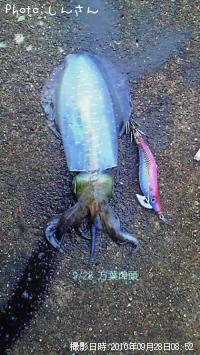 ¥¢¥ª¥ê¥¤¥«