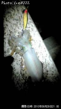 �����ꥤ��