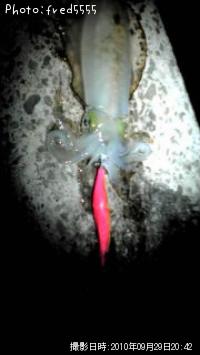 �����ꥤ��