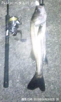 �����Х�