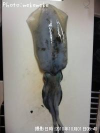 �����ꥤ��