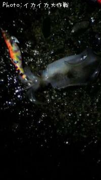 ¥¢¥ª¥ê¥¤¥«