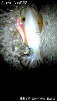 �����ꥤ��