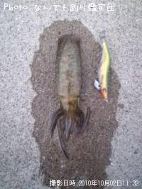 �����ꥤ��