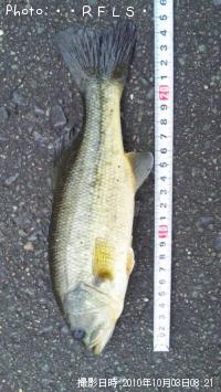 �֥�å��Х�