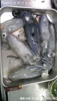 ¥¢¥ª¥ê¥¤¥«