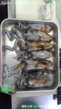 �����ꥤ��