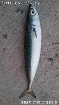 ���ޥ���