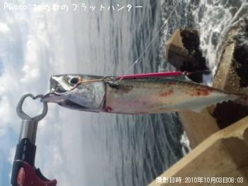 ���ޥ���