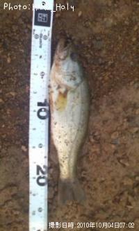 ¥Ö¥é¥Ã¥¯¥Ð¥¹