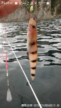 ��奦�����ϥ�