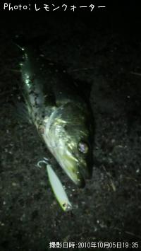 �����Х�