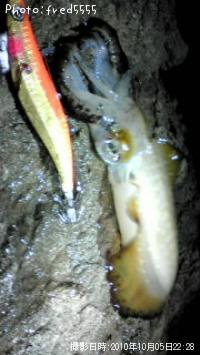 �����ꥤ��