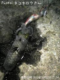 �����ꥤ��