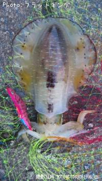 ¥¢¥ª¥ê¥¤¥«