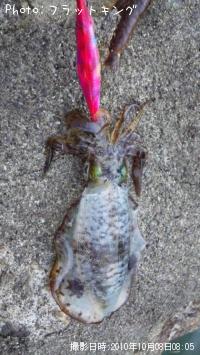 ¥¢¥ª¥ê¥¤¥«