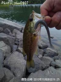 �֥�å��Х�