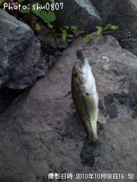 �֥�å��Х�