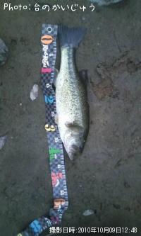 ¥Ö¥é¥Ã¥¯¥Ð¥¹