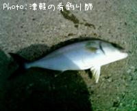 ¥«¥ó¥Ñ¥Á