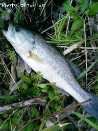 �֥�å��Х�