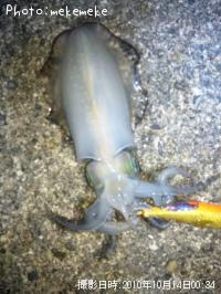 �����ꥤ��