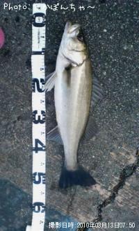 �����Х�