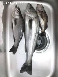 �ҥ饹����