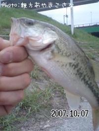 �֥�å��Х�