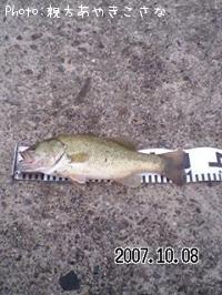 ¥Ö¥é¥Ã¥¯¥Ð¥¹