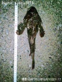 �ȥ��٥ĥ�����