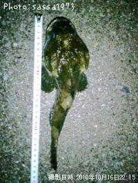 �ȥ��٥ĥ�����