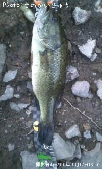 �֥�å��Х�