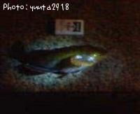 �����ʥ�