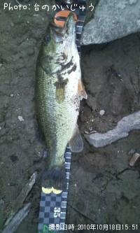 �֥�å��Х�