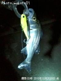 �����Х�