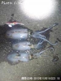 �����ꥤ��