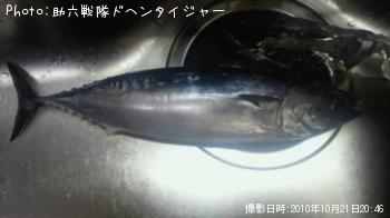 ¥Þ¥ë¥½¡¼¥À