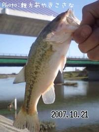 �֥�å��Х�